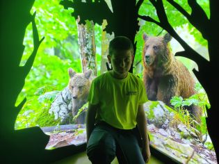 Fotografie img_20240516_110806_original.jpg