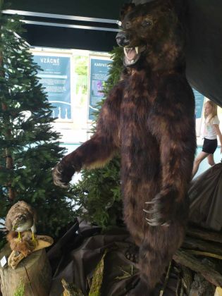 Fotografie messenger_creation_d1fe2fa1-8689-4202-bf_original.jpeg