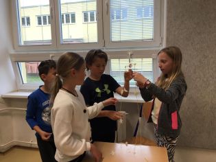 Fotografie img-20240604-wa0005_original.jpg