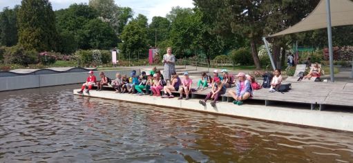 Fotografie img-20240524-wa0011_original.jpg