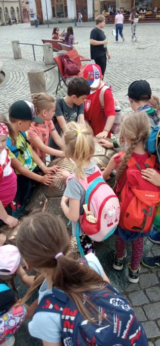 Fotografie img-20240524-wa0015_original.jpg