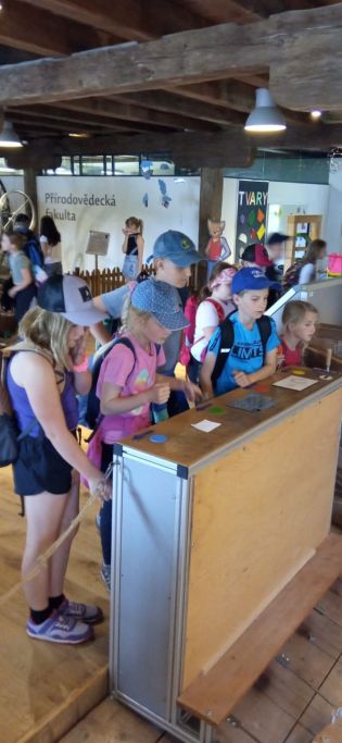 Fotografie img-20240524-wa0017_original.jpg