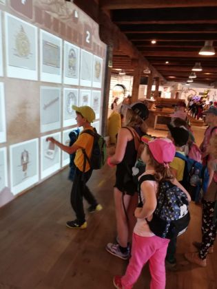 Fotografie img-20240524-wa0029_original.jpg