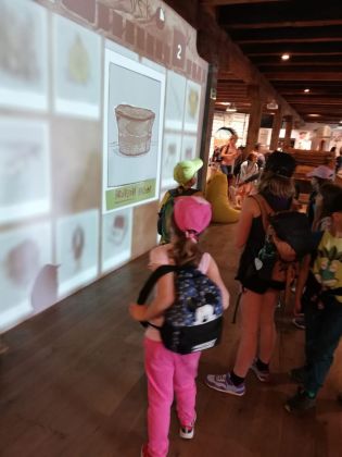 Fotografie img-20240524-wa0030_original.jpg