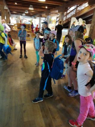 Fotografie img-20240524-wa0032_original.jpg