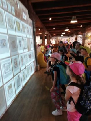 Fotografie img-20240524-wa0033_original.jpg