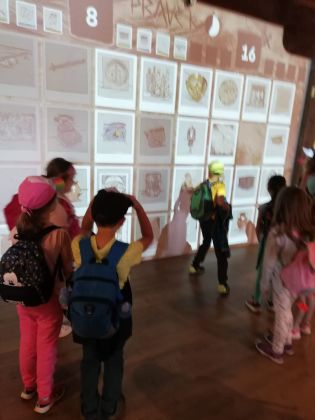 Fotografie img-20240524-wa0034_original.jpg