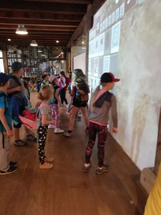 Fotografie img-20240524-wa0036_original.jpg