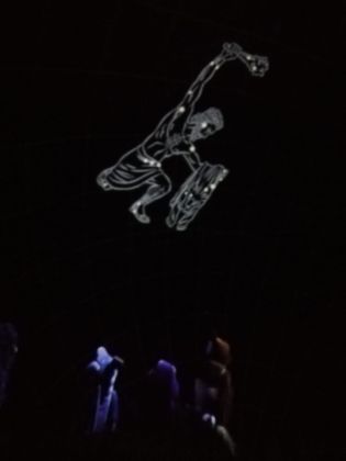 Fotografie img-20240524-wa0051_original.jpg