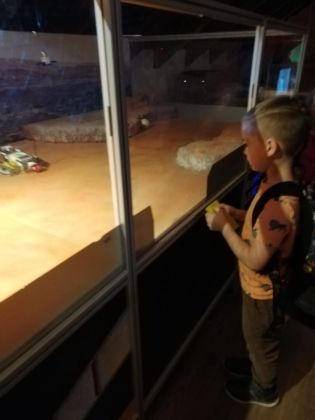 Fotografie img-20240524-wa0054_original.jpg