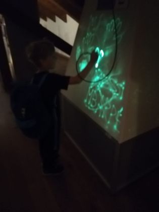 Fotografie img-20240524-wa0056_original.jpg