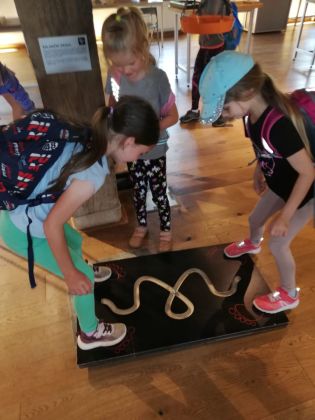 Fotografie img-20240524-wa0064_original.jpg