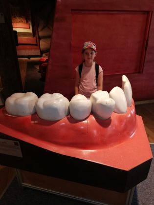 Fotografie img-20240524-wa0065_original.jpg