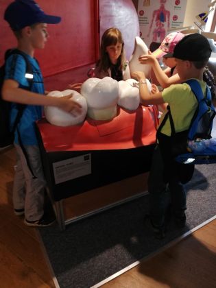 Fotografie img-20240524-wa0070_original.jpg