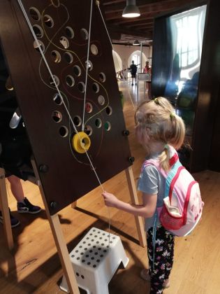 Fotografie img-20240524-wa0071_original.jpg