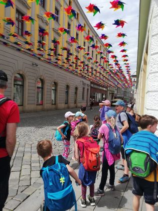 Fotografie img-20240524-wa0078_original.jpg