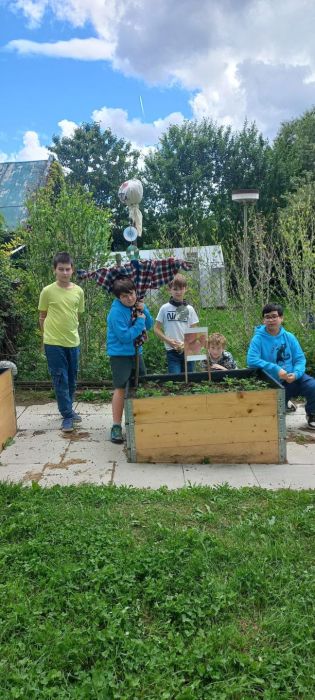 Fotografie img-20240524-wa0008_original.jpg