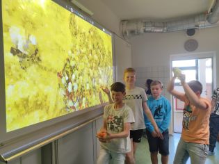 Fotografie img_20240527_085506_original.jpg