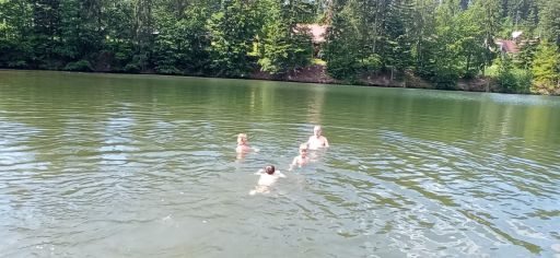 Fotografie img-20240528-wa0003_original.jpg