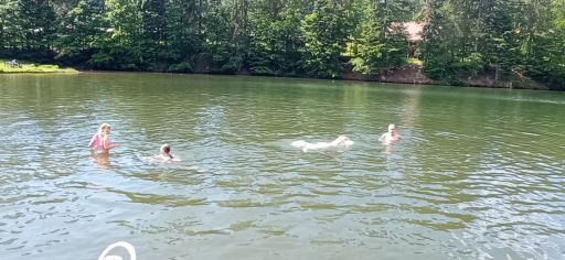 Fotografie img-20240528-wa0006_original.jpg