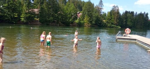 Fotografie img-20240528-wa0007_original.jpg