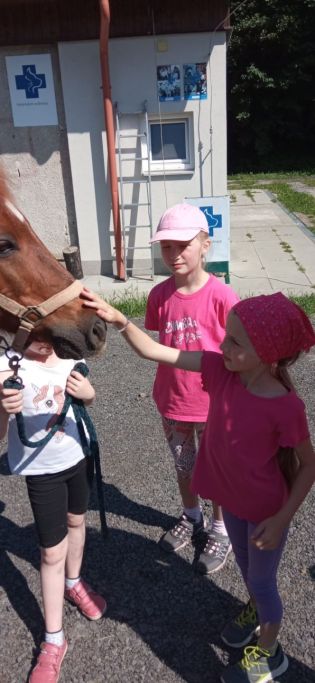 Fotografie img-20240528-wa0010_original.jpg