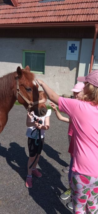 Fotografie img-20240528-wa0011_original.jpg