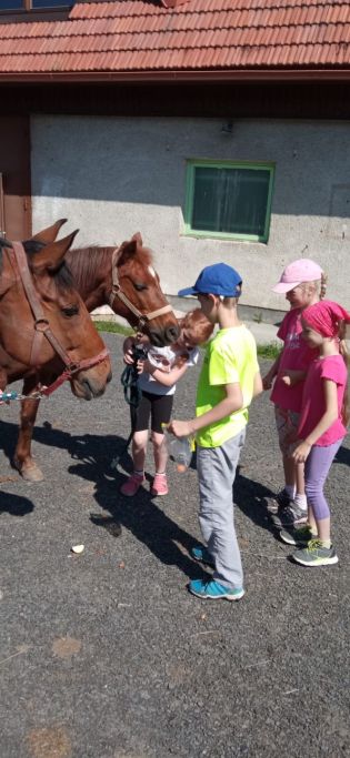 Fotografie img-20240528-wa0012_original.jpg