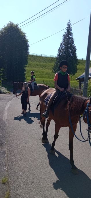 Fotografie img-20240528-wa0013_original.jpg