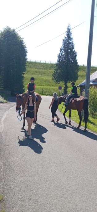 Fotografie img-20240528-wa0015_original.jpg