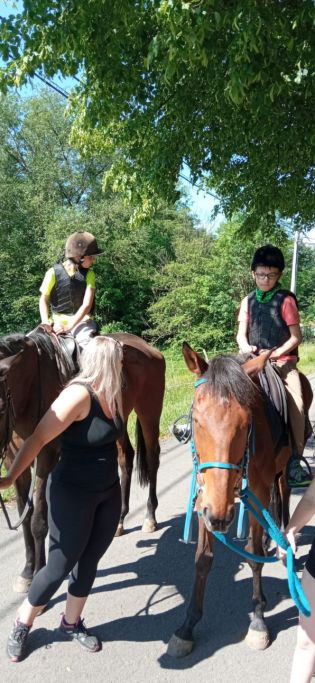 Fotografie img-20240528-wa0018_original.jpg