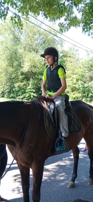 Fotografie img-20240528-wa0019_original.jpg