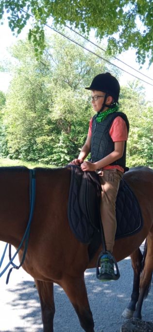 Fotografie img-20240528-wa0020_original.jpg