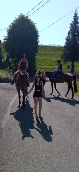 Fotografie img-20240528-wa0022_original.jpg