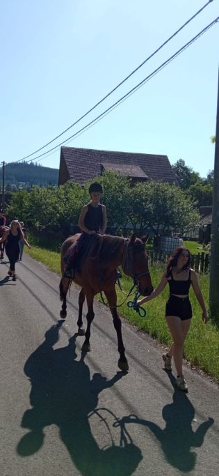 Fotografie img-20240528-wa0030_original.jpg