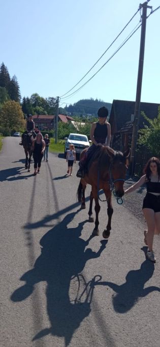 Fotografie img-20240528-wa0031_original.jpg