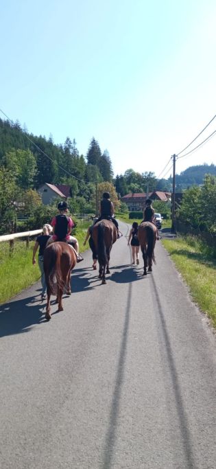 Fotografie img-20240528-wa0033_original.jpg