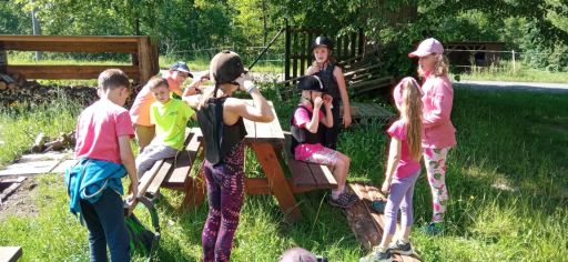 Fotografie img-20240528-wa0037_original.jpg