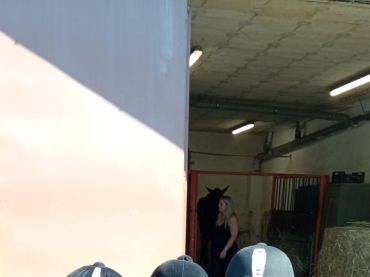 Foto k aktualitě Vycházka 3. třídy do přírody