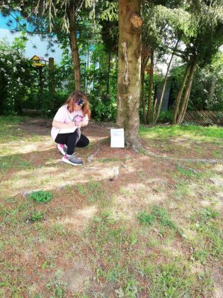 Fotografie img-20240530-wa0039_original.jpg