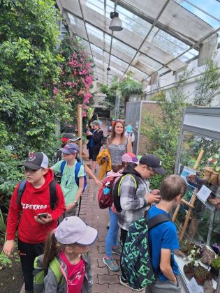 Fotografie img-20240603-wa0001_1_original.jpg