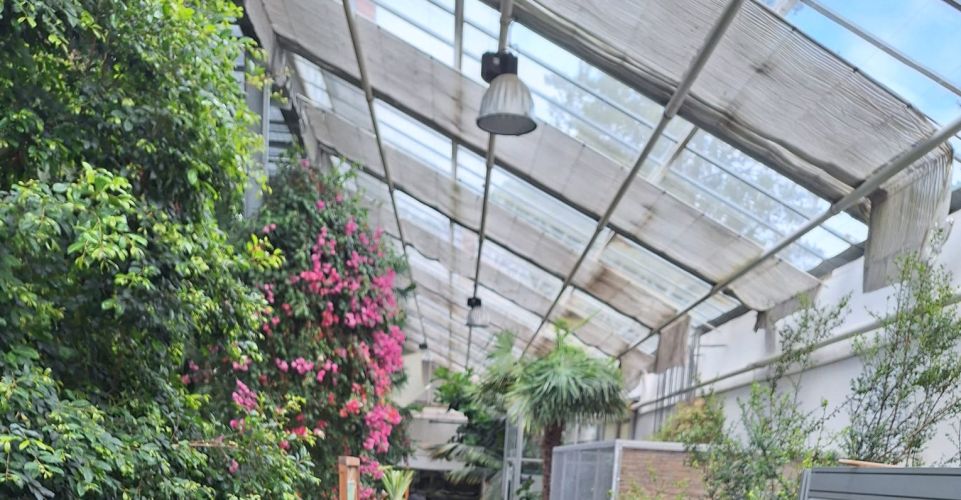 Školní výlet 2. a 4. třída