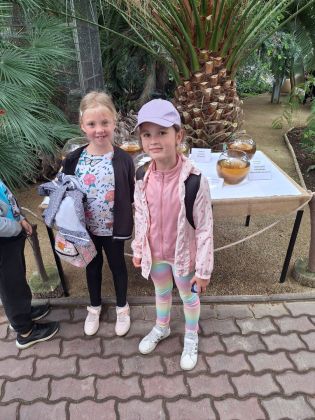 Fotografie img-20240603-wa0002_original.jpg