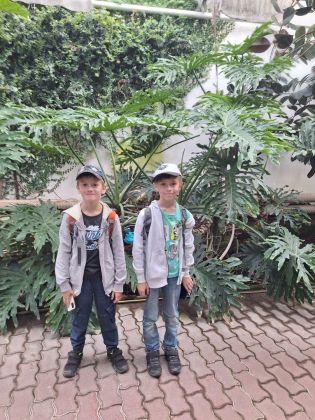 Fotografie img-20240603-wa0003_original.jpg