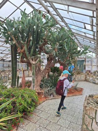 Fotografie img-20240603-wa0005_original.jpg