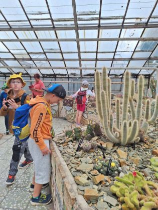 Fotografie img-20240603-wa0006_original.jpg