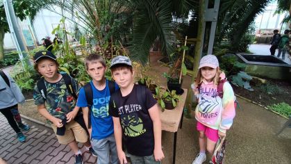 Fotografie img-20240603-wa0012_original.jpg