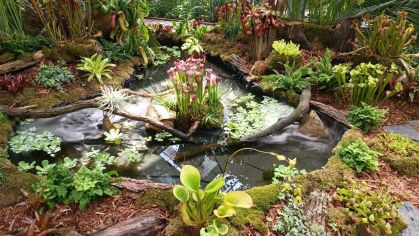 Fotografie img-20240603-wa0013_original.jpg