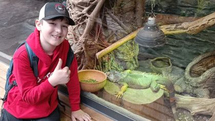 Fotografie img-20240603-wa0014_original.jpg