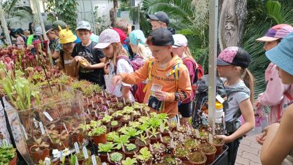 Fotografie img-20240603-wa0015_original.jpg